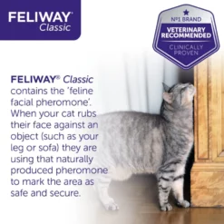 CEVA Feliway Classic Refill Ανταλλακτικό 48ml για το στρες στις Γάτες -Προμήθειες Για Κατοικίδια Κατάστημα πωλήσεων 71G7pheBilL. SL1280 1000x1000 2