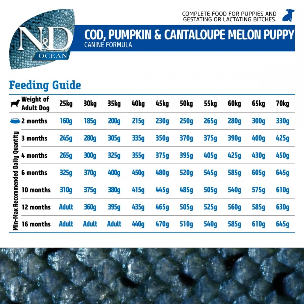 N&D Ocean Grain Free Pumpkin Codfish & Cantaloupe Melon Puppy Mini 2,5kg 3 N&D Ocean Grain Free Pumpkin Codfish & Cantaloupe Melon Puppy Mini 2,5kg - Image 3