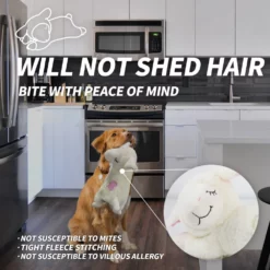 Παιχνίδι Σκύλου Afp Little Buddy Heart Beat Sheep 38x23x18cm -Προμήθειες Για Κατοικίδια Κατάστημα πωλήσεων 71ZAAO15uQL. AC SL1500 1000x1000 1