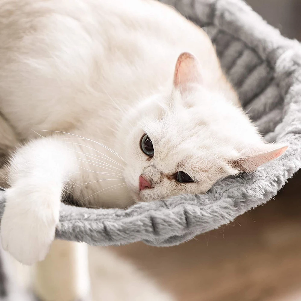 OEM Γατόδεντρο - Ονυχοδρόμιο Big Condo 164cm Light Grey 5 OEM Γατόδεντρο - Ονυχοδρόμιο Big Condo 164cm Light Grey - Image 5