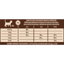 Wellness Core Cat Kitten Γαλοπούλα Κοτόπουλο 1.75kg + Δώρο 300gr -Προμήθειες Για Κατοικίδια Κατάστημα πωλήσεων 7880112 PETSHOP88 1000x1000w