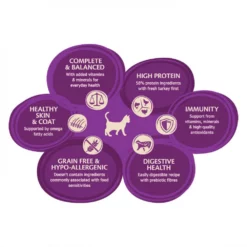 Wellness Core Cat Kitten Γαλοπούλα Κοτόπουλο 1.75kg + Δώρο 300gr -Προμήθειες Για Κατοικίδια Κατάστημα πωλήσεων 7880112 1 1000x1000 1