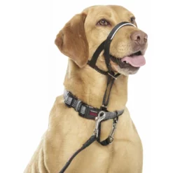 Εκπαιδευτικό Περιστόμιο Halti No2 (35-48cm)