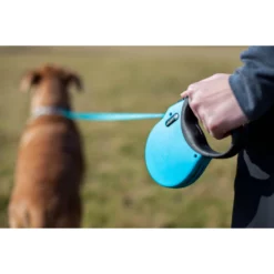 Λουρί Επαναφοράς Alcott Adventure XS 3m Γαλάζιο -Προμήθειες Για Κατοικίδια Κατάστημα πωλήσεων 849910115189 1000x1000w 1