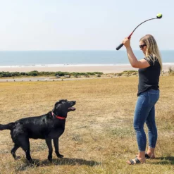 Ανταλλακτικό κιτ (1 μπαλάκι & 2 ρολάκια) για Παιχνίδι Σκύλου Kong HandiPOD Launch 11 Ανταλλακτικό κιτ (1 μπαλάκι & 2 ρολάκια) για Παιχνίδι Σκύλου Kong HandiPOD Launch -Προμήθειες Για Κατοικίδια Κατάστημα πωλήσεων 91pfTLPo4qL. AC SL1500 1000x1000 1