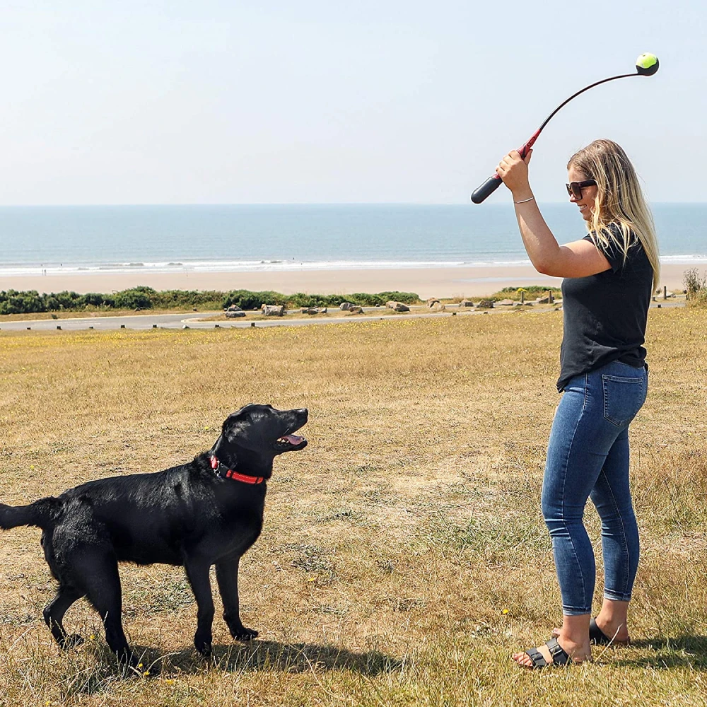 Ανταλλακτικό κιτ (1 μπαλάκι & 2 ρολάκια) για Παιχνίδι Σκύλου Kong HandiPOD Launch 5 Ανταλλακτικό κιτ (1 μπαλάκι & 2 ρολάκια) για Παιχνίδι Σκύλου Kong HandiPOD Launch - Image 5
