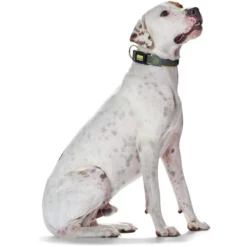 Περιλαίμιο Σκύλου Hunter Maui Vario Plus Black L 3,2x40-60cm -Προμήθειες Για Κατοικίδια Κατάστημα πωλήσεων 92702 image 15 1000x1000 1