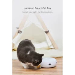 Παιχνίδι Γάτας Homerun Smart Cat Disc 17,5cm 7 Παιχνίδι Γάτας Homerun Smart Cat Disc 17,5cm -Προμήθειες Για Κατοικίδια Κατάστημα πωλήσεων ABUIABACGAAg vqz4wUoisPkpgEw7gU42gg 1000x1000h