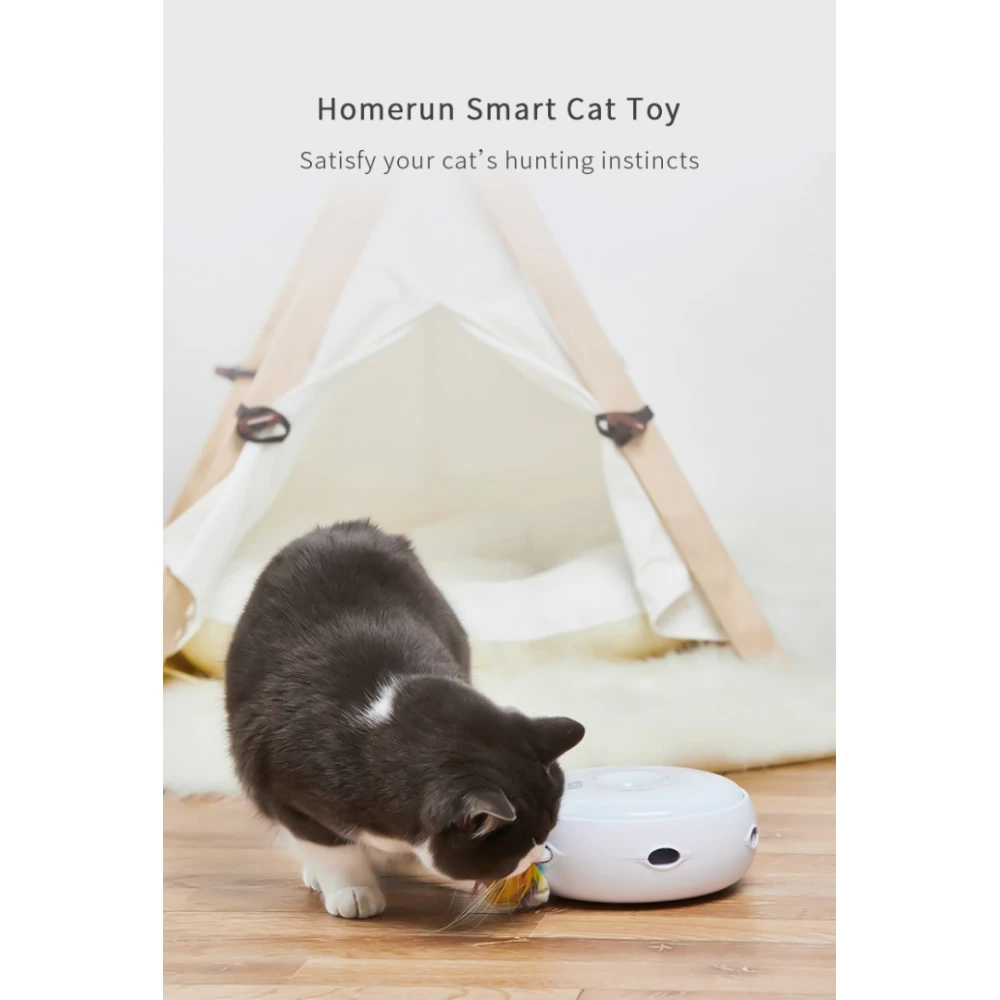 Παιχνίδι Γάτας Homerun Smart Cat Disc 17,5cm 3 Παιχνίδι Γάτας Homerun Smart Cat Disc 17,5cm - Image 3