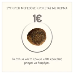 Acana Yorkshire Pork 11,4kg -Προμήθειες Για Κατοικίδια Κατάστημα πωλήσεων AC YorkShire Pork 800x800 1000x1000 1