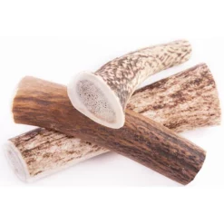 Κέρατο Ελαφιού Wildz Antler Chew XL Hard 15cm - 105gr