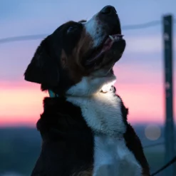 Max & Molly Matrix Ultra Led Safety Black -Προμήθειες Για Κατοικίδια Κατάστημα πωλήσεων Action 8b2813f6 e418 470e a21d 75da09290895 1000x1000 1