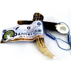 Κέρατο Ελαφιού BlooChoo Antler Small Full Xlong 30-60gr -Προμήθειες Για Κατοικίδια Κατάστημα πωλήσεων BC03520Full20Small20Xlong20Photo 1000x1000w