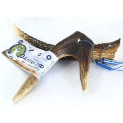 Κέρατο Ελαφιού BlooChoo Antler Small Full Xlong 30-60gr