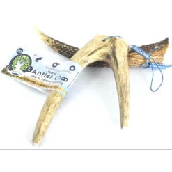 Κέρατο Ελαφιού BlooChoo Antler Large Full Xlong 70-100gr