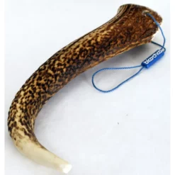 Κέρατο Ελαφιού BlooChoo Antler XLarge Full Xlong 80-120gr 5 Κέρατο Ελαφιού BlooChoo Antler XLarge Full Xlong 80-120gr -Προμήθειες Για Κατοικίδια Κατάστημα πωλήσεων BC04420Full20Xlarge20Xlong20XLARGE 1000x1000h