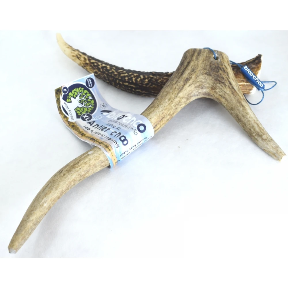 Κέρατο Ελαφιού BlooChoo Antler XLarge Full Xlong 80-120gr 2 Κέρατο Ελαφιού BlooChoo Antler XLarge Full Xlong 80-120gr - Image 2