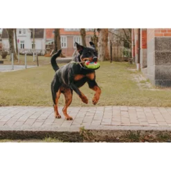 Παιχνίδι Max & Molly Snuggles Bob The Blob 13cm -Προμήθειες Για Κατοικίδια Κατάστημα πωλήσεων BOB THE BLOB2 1000x1000w