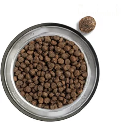 Belcando Finest Grain Free Salmon 12,5kg + 1kg Δώρο -Προμήθειες Για Κατοικίδια Κατάστημα πωλήσεων Belcando Finest Grain Free Salmon 2 1000x1000 1