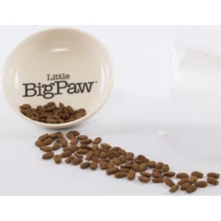 Ξηρά Τροφή Γάτας Little Big Paw Salmon Senior 1,5kg 5 Ξηρά Τροφή Γάτας Little Big Paw Salmon Senior 1,5kg -Προμήθειες Για Κατοικίδια Κατάστημα πωλήσεων Bowl Salmon 1000x1000w 1