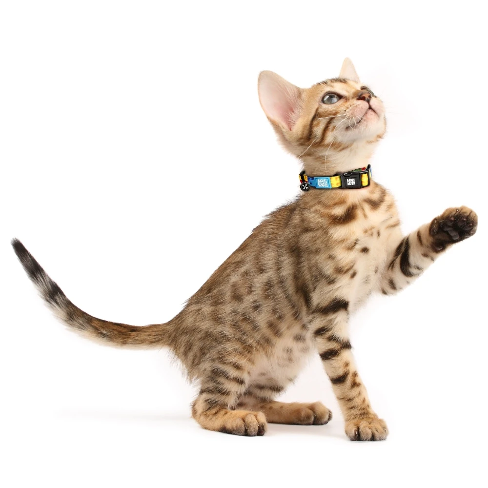 Περιλαίμιο Γάτας Max & Molly Paradise Cat 1x22-35cm 5 Περιλαίμιο Γάτας Max & Molly Paradise Cat 1x22-35cm - Image 5