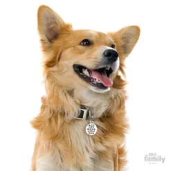 Ταυτότητα Σκύλου My Family Charms All You Need Is Dog -Προμήθειες Για Κατοικίδια Κατάστημα πωλήσεων CH17NEEDOG 1 1000x1000 2