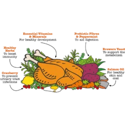 Ξηρά Τροφή Little Big Paw Kitten Chicken 375gr -Προμήθειες Για Κατοικίδια Κατάστημα πωλήσεων CHK KIT Ingredient Hero 1024x491 1000x1000w