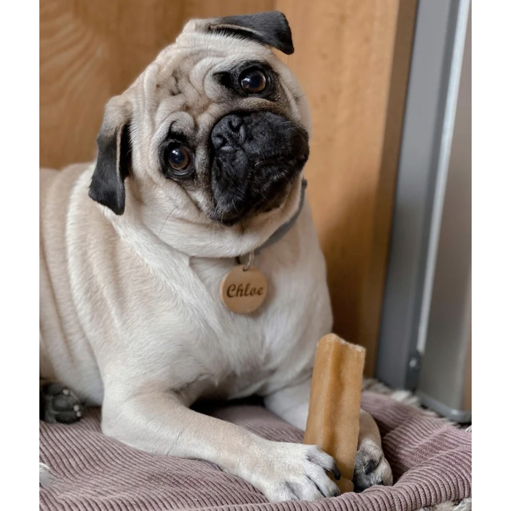 Λιχουδιά Σκύλου Churpi Yak Original Himalayan Canine Treat 130gr 8 Λιχουδιά Σκύλου Churpi Yak Original Himalayan Canine Treat 130gr - Image 8