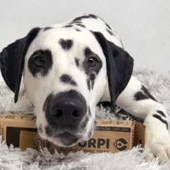 Λιχουδιά Σκύλου Churpi Yak Original Himalayan Canine Treat 70gr -Προμήθειες Για Κατοικίδια Κατάστημα πωλήσεων CHURPIimage4 2 1000x1000 2