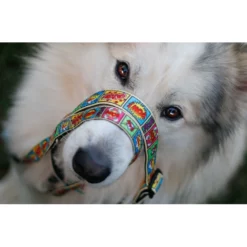 Λουρί - Οδηγός Max & Molly Comic Small 1,5x120cm -Προμήθειες Για Κατοικίδια Κατάστημα πωλήσεων COMIC20LIFESTYLE2 1000x1000w 1