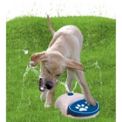 Σιντριβάνι - παιχνίδι Σκύλου CoolPets Splash Water Fountain 27x23cm -Προμήθειες Για Κατοικίδια Κατάστημα πωλήσεων COOL010EXTRA coolpets splash water fountain 1 1000x1000h