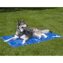 Δροσιστικό Στρωματάκι (cooling Mat) Coollpets S 40x30cm -Προμήθειες Για Κατοικίδια Κατάστημα πωλήσεων COOL02632 1000x1000w 2