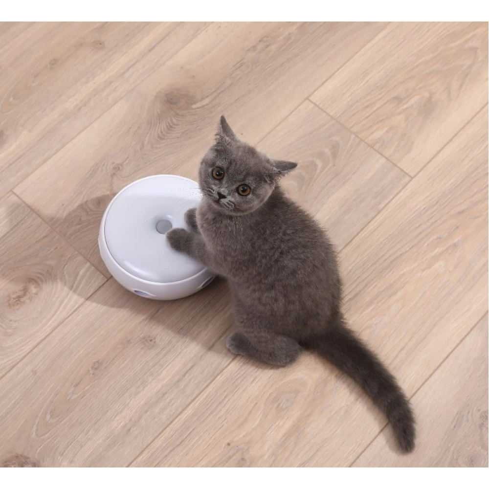 Παιχνίδι Γάτας Homerun Smart Cat Disc 17,5cm 4 Παιχνίδι Γάτας Homerun Smart Cat Disc 17,5cm - Image 4