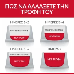 Hills Hill's Science Plan Adult Sensitive Stomach & Skin για Γάτες 1,5kg -Προμήθειες Για Κατοικίδια Κατάστημα πωλήσεων Cat Kitten Chicken Transition Food Transition EL201 1000x1000 1