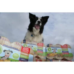 Υγρή Τροφή - Κονσέρβα Σκύλου Little Big Paw Six Pack 2xChicken, 2xDuck, 2xTurkey 6x390gr -Προμήθειες Για Κατοικίδια Κατάστημα πωλήσεων CollieHeadoverV3 scaled 1000x1000w