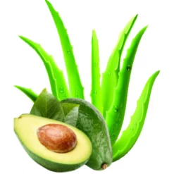 Petex Σαμπουάν DeadSea για ευαίσθητα Aloe Vera And Avocado 400ml 5 Petex Σαμπουάν DeadSea για ευαίσθητα Aloe Vera And Avocado 400ml -Προμήθειες Για Κατοικίδια Κατάστημα πωλήσεων DS 011 1000x1000h