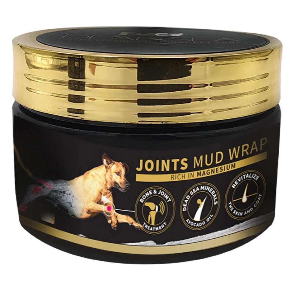 Petex Deadsea Joints Mud Wrap με Άργιλο για τις Αρθρώσεις 250ml 2 Petex Deadsea Joints Mud Wrap με Άργιλο για τις Αρθρώσεις 250ml - Image 2