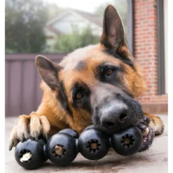 Kong Extreme Goodie Ribbon Medium -Προμήθειες Για Κατοικίδια Κατάστημα πωλήσεων EGS1202 20200409055730 20200409055815 1000x1000201 1000x1000h