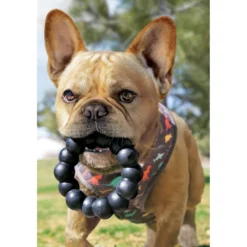 Kong Extreme Ring XLarge -Προμήθειες Για Κατοικίδια Κατάστημα πωλήσεων EMX202 20200409065601 20200409065709 1000x1000201 1000x1000h