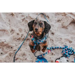 Max & Molly Μπρελόκ Frenzy The Shark Tag 17,5cm -Προμήθειες Για Κατοικίδια Κατάστημα πωλήσεων FRENZY20THE20SHARK20LIFESTYLE 1000x1000w