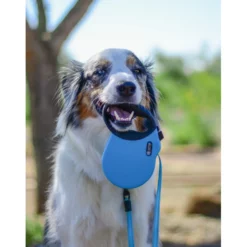 Λουρί Επαναφοράς Alcott Adventure XS 3m Ροζ -Προμήθειες Για Κατοικίδια Κατάστημα πωλήσεων Goose with Blue Adventure Retractable Leash in Mouth 1000x1000h