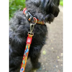 Max & Molly Μπρελόκ Heroes Tag 17,5cm -Προμήθειες Για Κατοικίδια Κατάστημα πωλήσεων HEROES COLLAR LIFE 1000x1000h 2