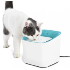 OEM Σιντριβάνι Luxury Smart για Γάτες και μικρόσωμους Σκύλους 21,5x20x17,5cm Τυρκουάζ