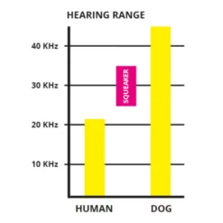 Comic Ultrasonic Bear Παιχνίδι Υπερήχων 24cm -Προμήθειες Για Κατοικίδια Κατάστημα πωλήσεων Hearing Range 1000x1000h 1