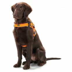 Επιστήθιο - Σαμαράκι Σκύλου Hunter Manoa Vario Quick Orange Xs 2,7x36-45cm -Προμήθειες Για Κατοικίδια Κατάστημα πωλήσεων Hunter Smart Geschirr Manoa Easy Vario Quick orange43631247p 1000x1000 1
