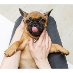 Περιλαίμιο Max & Molly Kiwi Small 1,5x28-45cm -Προμήθειες Για Κατοικίδια Κατάστημα πωλήσεων ID TAG LIFE 1000x1000w 15