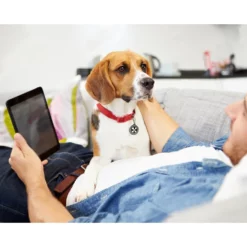 Περιλαίμιο Max & Molly Frenzy The Shark Small 1,5x28-45cm -Προμήθειες Για Κατοικίδια Κατάστημα πωλήσεων ID TAG LIFE2 1000x1000w 11