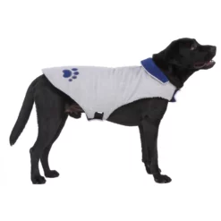 OEM Αντιανεμικό μπουφάν Σκύλου διπλής όψης με επένδυση Μπλε - Λευκό Medium 30cm -Προμήθειες Για Κατοικίδια Κατάστημα πωλήσεων IMG 0676B 1000x1000w