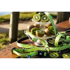 Max & Molly Μπρελόκ Kiwi Tag 17,5cm -Προμήθειες Για Κατοικίδια Κατάστημα πωλήσεων KIWI20LIFESTYLE2 1000x1000w