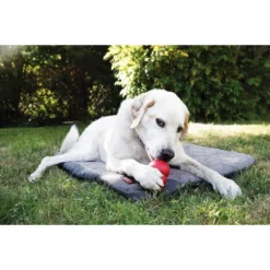 Kong Fold Up Travel Mat Στρωματάκι Ταξιδίου για Σκύλους 91,5 X 60 X 5,75 Cm -Προμήθειες Για Κατοικίδια Κατάστημα πωλήσεων KONG94614 kong fold up travel mat 1000x1000w